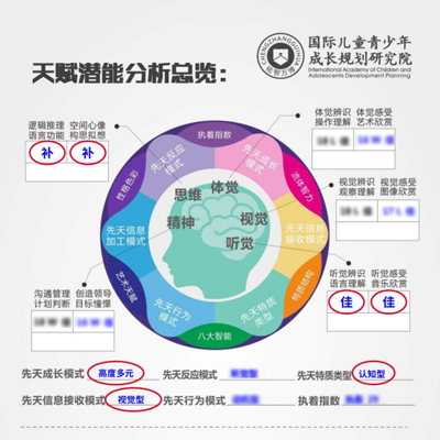 天賦優(yōu)勢測評案例：小哲