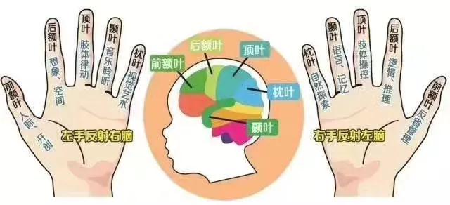皮紋測試有科學(xué)依據(jù)嗎 皮紋測試有科學(xué)依據(jù)嗎