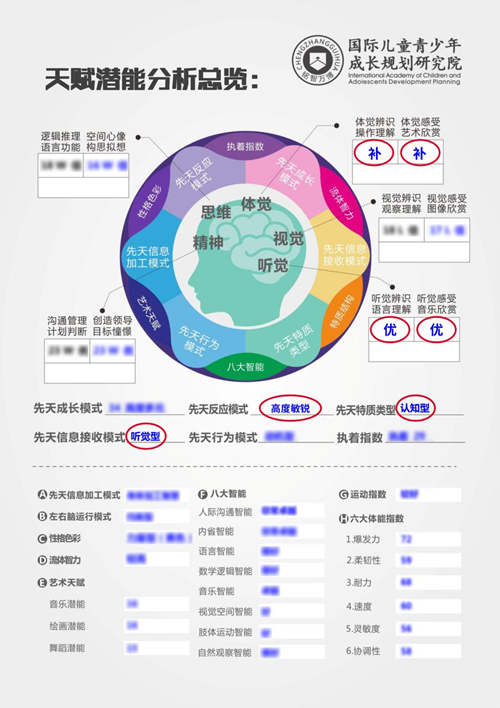 小威天賦測評報告總覽 小威天賦測評報告總覽