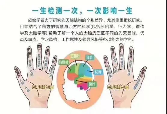 云鯨靈天賦優(yōu)勢測評 云鯨靈天賦優(yōu)勢測評
