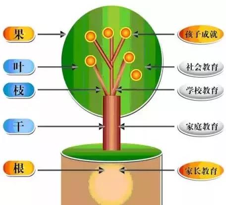 1642583155656215.jpg 微信圖片_20220119170151.jpg