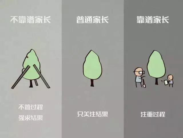 滿分的父母看過程，不及格的父母只看結(jié)果