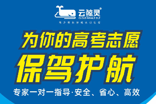 一對(duì)一高考志愿填報(bào)服務(wù)